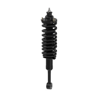 Suspension Strut and Coil Spring Assembly