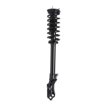 Suspension Strut and Coil Spring Assembly