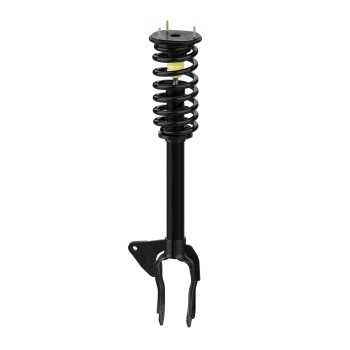 Suspension Strut and Coil Spring Assembly