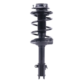 Suspension Strut and Coil Spring Assembly