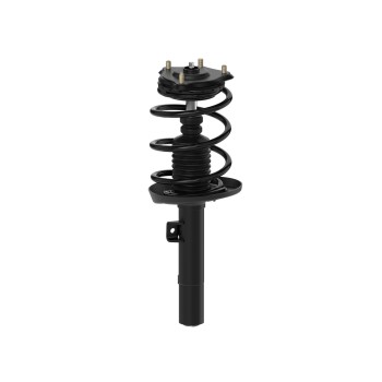 Suspension Strut and Coil Spring Assembly