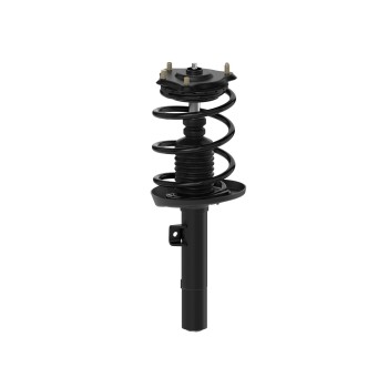 Suspension Strut and Coil Spring Assembly