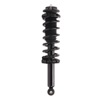 Suspension Strut and Coil Spring Assembly