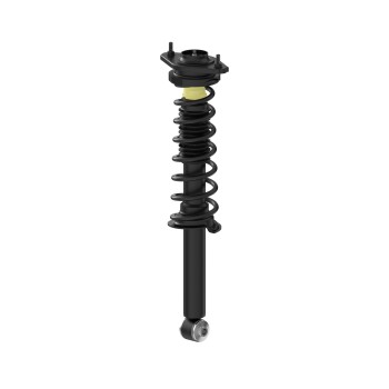 Suspension Strut and Coil Spring Assembly