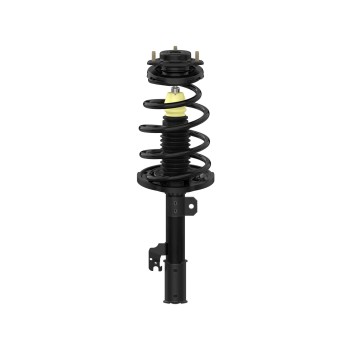 Suspension Strut and Coil Spring Assembly