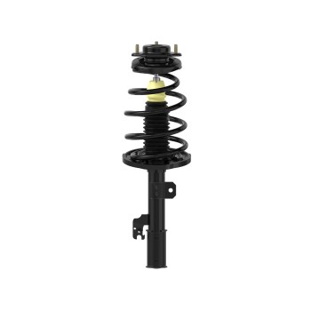 Suspension Strut and Coil Spring Assembly