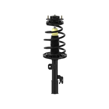 Suspension Strut and Coil Spring Assembly