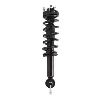 Suspension Strut and Coil Spring Assembly