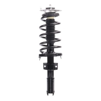 Suspension Strut and Coil Spring Assembly