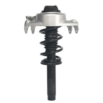 Suspension Strut and Coil Spring Assembly