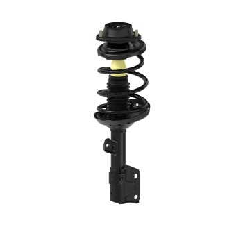 Suspension Strut and Coil Spring Assembly