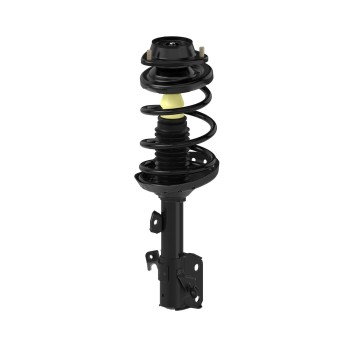 Suspension Strut and Coil Spring Assembly