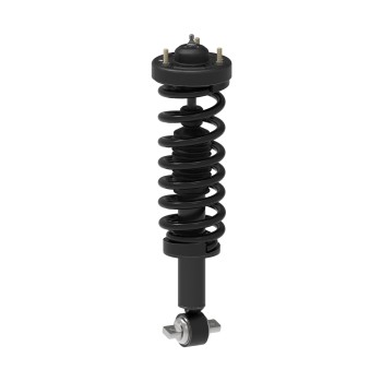 Suspension Strut and Coil Spring Assembly