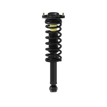 Suspension Strut and Coil Spring Assembly