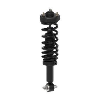 Suspension Strut and Coil Spring Assembly