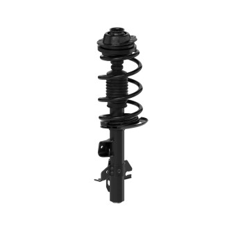Suspension Strut and Coil Spring Assembly