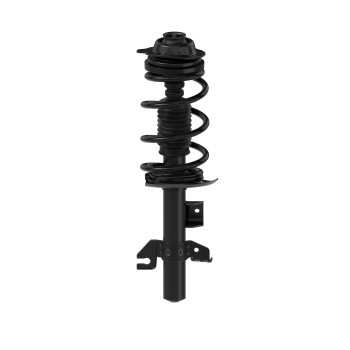 Suspension Strut and Coil Spring Assembly