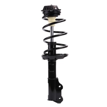 Suspension Strut and Coil Spring Assembly