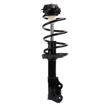 Suspension Strut and Coil Spring Assembly