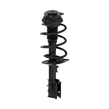 Suspension Strut and Coil Spring Assembly