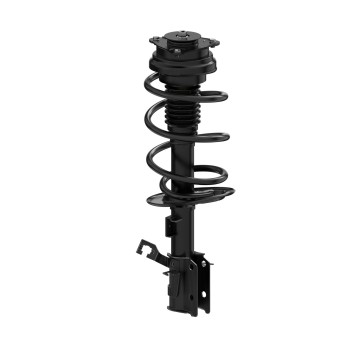 Suspension Strut and Coil Spring Assembly