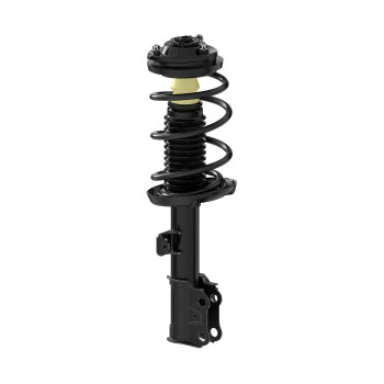 Suspension Strut and Coil Spring Assembly
