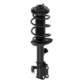 Suspension Strut and Coil Spring Assembly