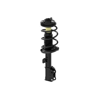 Suspension Strut and Coil Spring Assembly