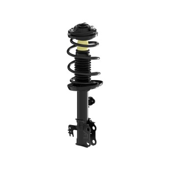 Suspension Strut and Coil Spring Assembly