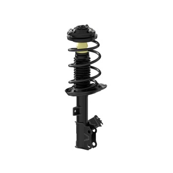 Suspension Strut and Coil Spring Assembly