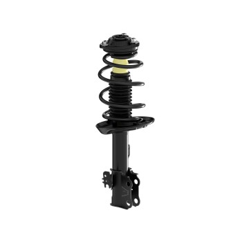 Suspension Strut and Coil Spring Assembly