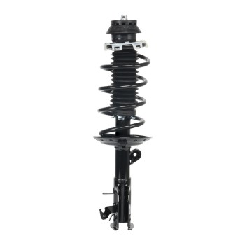 Suspension Strut and Coil Spring Assembly