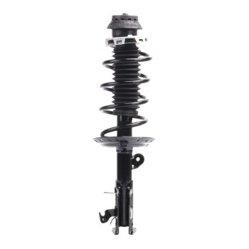 Suspension Strut and Coil Spring Assembly