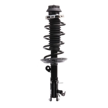 Suspension Strut and Coil Spring Assembly