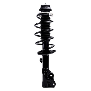 Suspension Strut and Coil Spring Assembly
