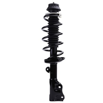 Suspension Strut and Coil Spring Assembly