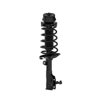 Suspension Strut and Coil Spring Assembly