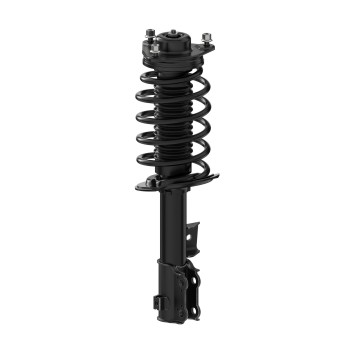 Suspension Strut and Coil Spring Assembly