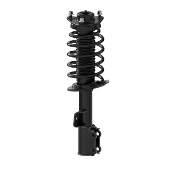 Suspension Strut and Coil Spring Assembly