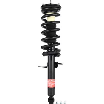 Suspension Strut and Coil Spring Assembly