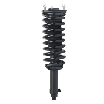 Suspension Strut and Coil Spring Assembly