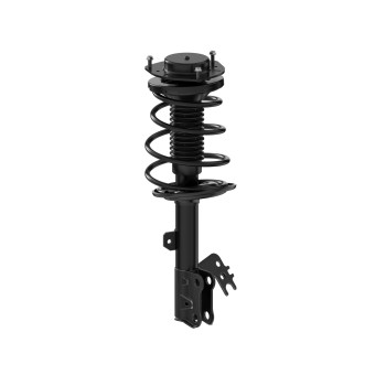 Suspension Strut and Coil Spring Assembly