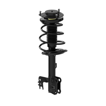 Suspension Strut and Coil Spring Assembly