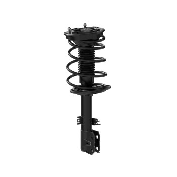 Suspension Strut and Coil Spring Assembly