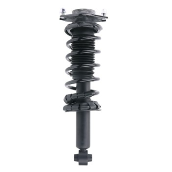 Suspension Strut and Coil Spring Assembly