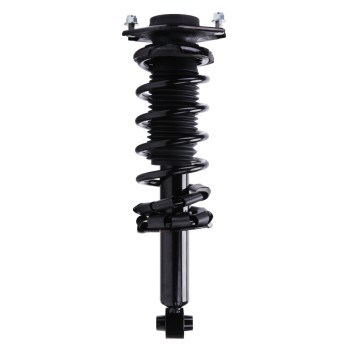 Suspension Strut and Coil Spring Assembly