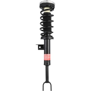 Suspension Strut and Coil Spring Assembly