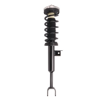 Suspension Strut and Coil Spring Assembly