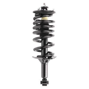 Suspension Strut and Coil Spring Assembly