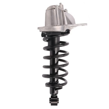 Suspension Strut and Coil Spring Assembly